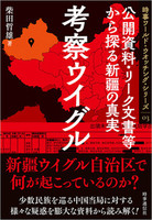 考察ウイグル　時事ワールド・ウオッチング・シリーズ03